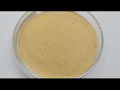 프로바이오틱스