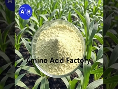 효소 및 발효 과정으로 펩타이드 및 아미노산이 풍부한 식물 수분화물