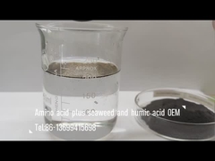 해조류와 아미노산 혼합 및 휴믹산 화합물 비료로 잎 뿌리 및 관개