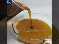 아미노산 켈레이트 된 칼륨 과일의 색채를 위해 붉은 색의 발달을 촉진