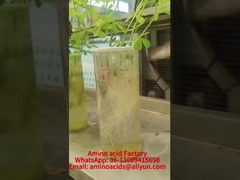 망간 아미노산 킬레이트 미네랄, 인 흡수를 촉진