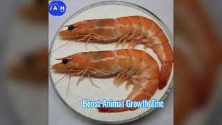 킬레이트된 마그네슘