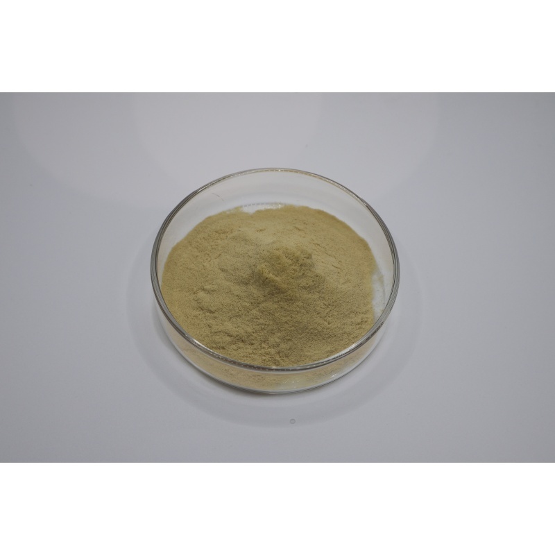 최신 회사 블로그 From Fermentation to Quality Testing: A Technical Guide to Evaluating 90% Fertilizer Grade Amino Acid Powder