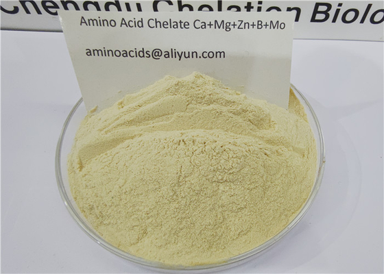 아미노산 킬레이트화된 미량 원소 칼슘 마그네슘 아연 붕소 몰리브덴