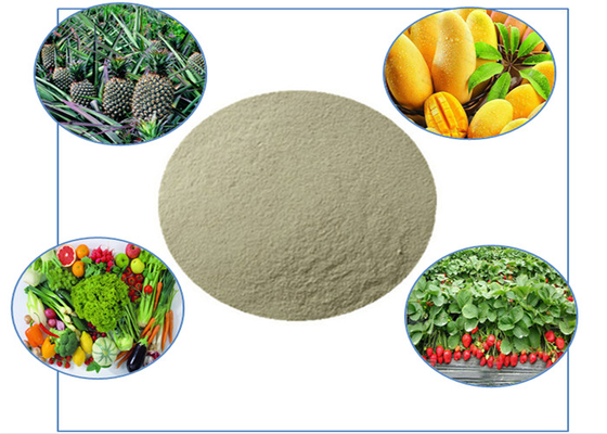 식물 영양에 아미노산 켈레이트 칼슘과 붕소를 함유한 유기농 비료