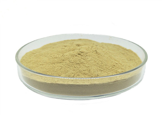 주문 야채 시리얼을 위한 유기적 질소 13% 파우더 아미노산 80% online manufacture