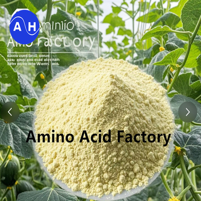 주문 아미노산 80% 생선 단백질 수분화 및 NPK 15-1-1을 통해 식물의 성장을 촉진합니다. online manufacture