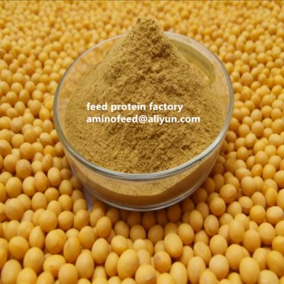 주문 Non-GMO Soy Protein Concentrate with 50% Protein Highly Digestible for Poultry and Aquatic Animals online manufacture