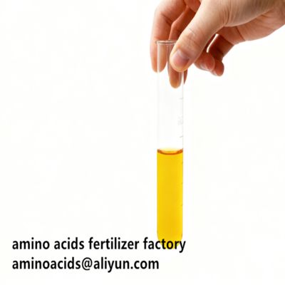 주문 Hydrolyzed Vegetable Free Amino Acids 80% Liquid Form For Organic Farming    online manufacture
