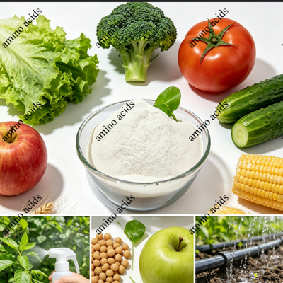 구입하다 100% Water Soluble Amino Acid Powder 80% from Non-GMO Soybean Meal for Fertilizer Formulation 온라인 제조