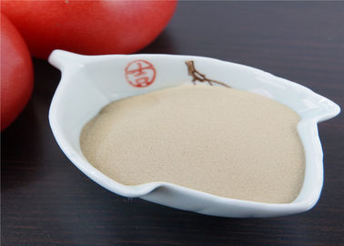 주문 식물 잎 야채 L 아미노산을 위한 생물 높은 질소 유기 비료 online manufacture