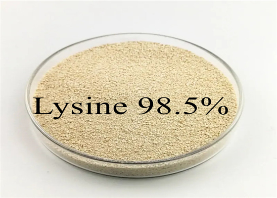 가축 가금류 닭 돼지 가축 사료 첨가제 L리신 98.5% l-라이신 HCL