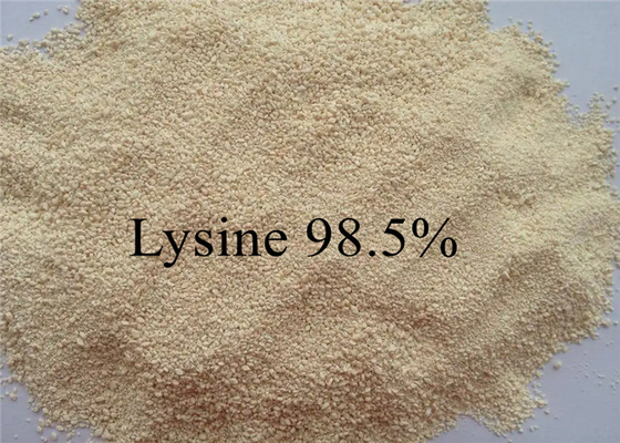 동물 가금류를 위한 아미노산 사료등급 리신 99%